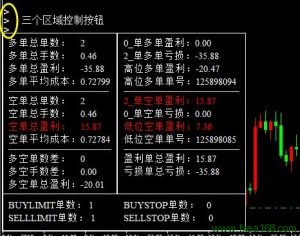 当前货币持仓统计指标界面